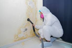 Best Mold Remediation for Rental Properties  in USA